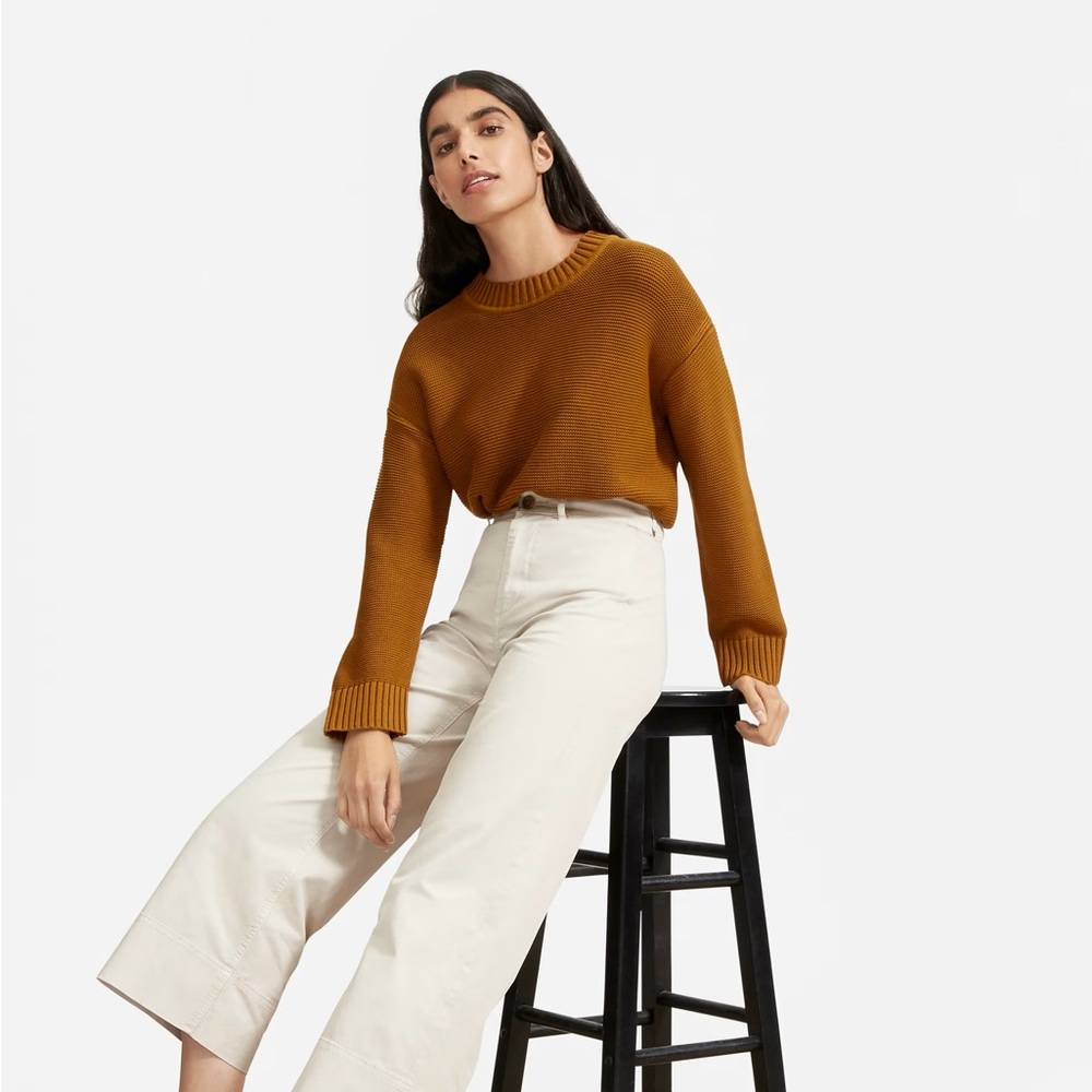 Everlane Women's Crew Neck Sweater in Brown